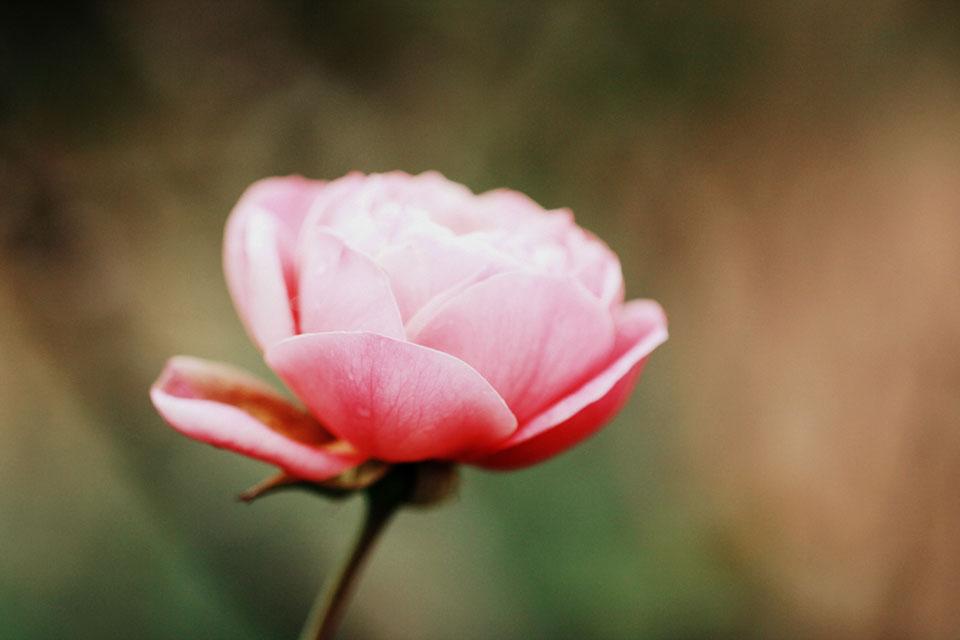What is slow beauty?