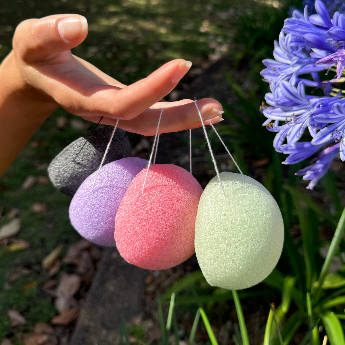 Konjac Sponge